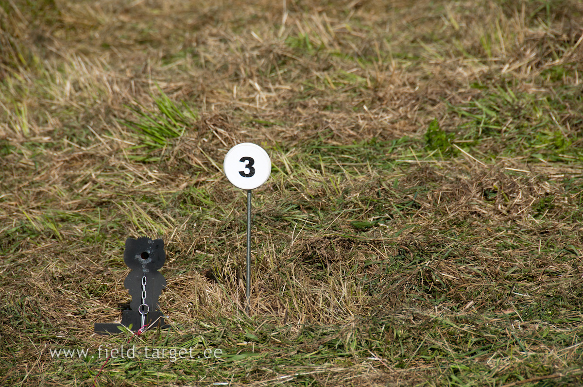 0246   Sellise tuulega on ka lahematele vaiksema auguga siluettidele raske pihta saada